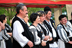 Activităţi culturale