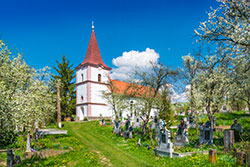 Biserica cu hramul: „Buna Vestire”